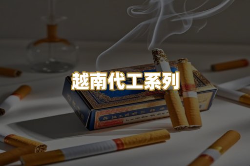 越南代工系列